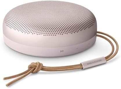 Bang & Olufsen Beosound A1 (2nd Gen)