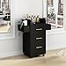 Beauty Salon Station for Hair Stylist, Salon Station Storage Cabinet with Wheels & Black Gold Handle, Rolling Beauty Station with 3 Drawers & 6 Hair Dryer Holders, Black