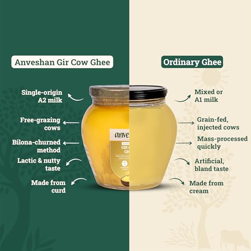 Image of Anveshan A2 Gir Cow Desi Ghee 500ML | Bilona Method | Curd-Churned & Cultured | Pure, Natural & Danedar | Lactose-Free, Gluten-Free | Grass-Fed | Lab Tested | Traditional Desi Ghee
