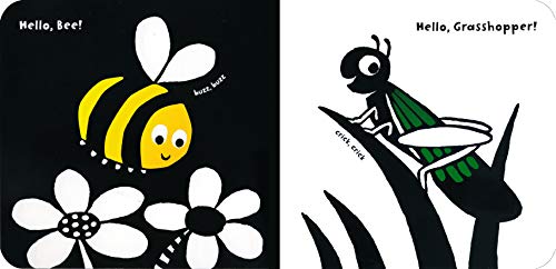 Hello, Bugs!