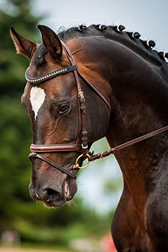 Zeyevan DIY Diamond Painting caballo Por Número Kit, 5D Punto De Cruz Diamante Pintura animal Bordado Artes Kit De Punto De Cruz Para Decoración De La Pared Del Hogar 30x40cm Cover