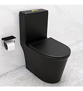 WinZo WZ5888CU Extra Tall Toilet Two Piece 21.25