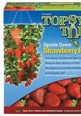 Topsy Turvy Strawberry Planter