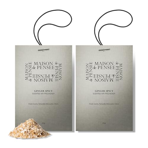 Maison de Pensee Perfume Car Air freshener 1+1 car fresheners, odor eliminator, air fresheners for home (20G X 2EA, Ginger Spicy)