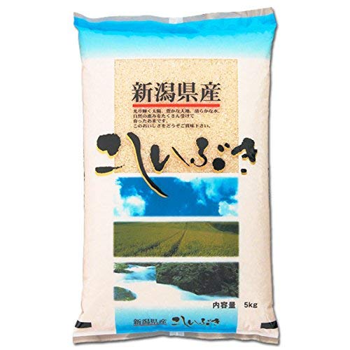 越後の稲穂屋 米 新潟産こしいぶき