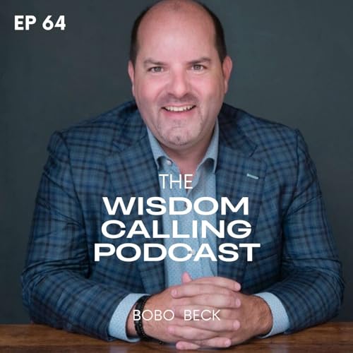 When Wisdom Meets Ambition cover art