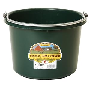 Miller Manufacturing P8GREEN Plastic Round Back Bucket for Horses, 8-Quart, Green