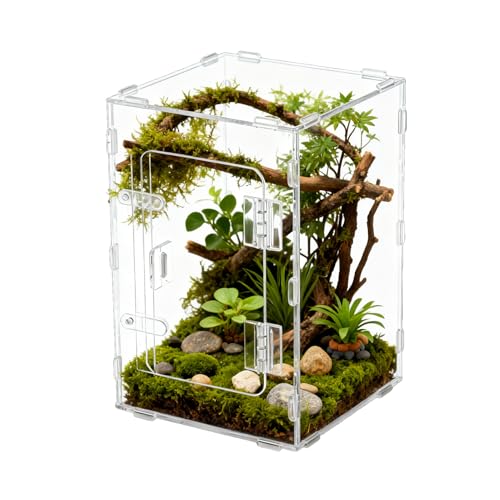 Acunny Habitat mit Springspinnen, Box aus transparentem Acryl für den Wohnraum mit Höhle, Gehege für...