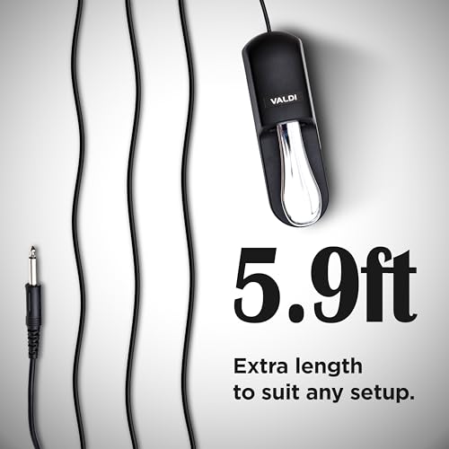 image for VALDI BP-3 Sustain Pedal - Universal Pedal for Keyboard Piano, Digital