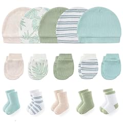 Z-blue & Green Palm Leaf