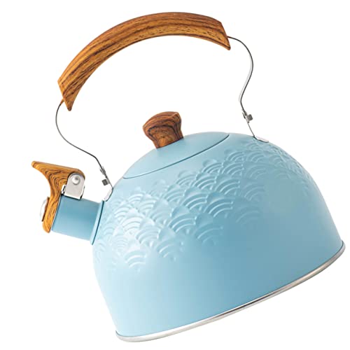 Organiseur bleu 19x19x23cm étagère dressing