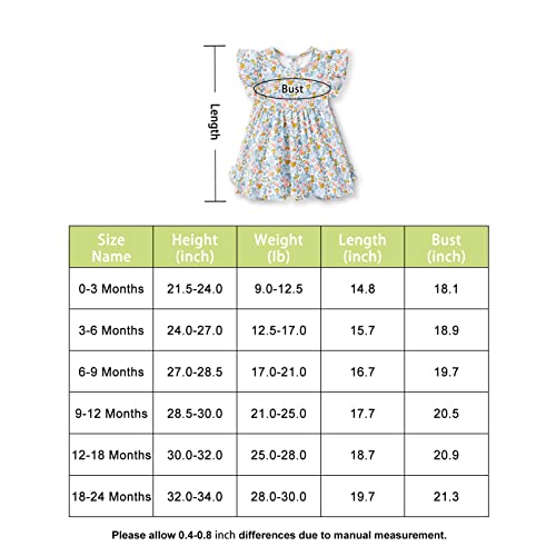 Pureborn Baby Girls Ruffled Sleeve Dress Cotton Swing Dress Casual With Headband Bloomer 0-3 Months Floral Blue #TOP6