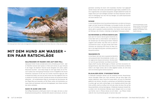 Yes we camp! Camping mit Hund am Wasser: Urlaub mit Hund – Die besten Campingplätze am Wasser (PiNCAMP powered by ADAC)