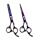 Produktbild Moontay Profi-Friseurschere, 15,2 cm, lila, Haarschneideschere, Effilierschere, perfekt für Haarstylisten oder für zu Hause