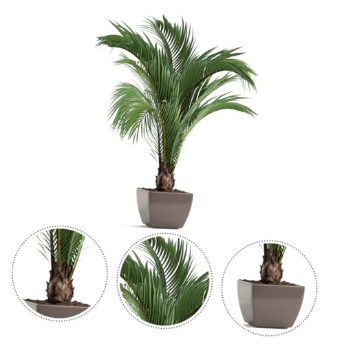 Pegatina de pared de interior autoadhesiva Cabilock vinilos lavables de plantas 4 piezas 3