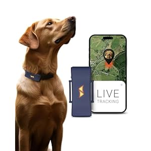 PAJ GPS Tracker for dogs – 4G – walking alarms + worldwide live tracking – battery saving mode near router – dog recall – with illuminated LEDs – waterproof (IP67) – fits any collar – dark blue