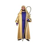 Rubies Men's Biblical Joseph Costume, Adult, Purple/Gold, One Size