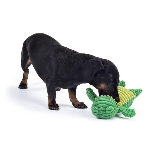Zappi Co Grüner Frosch Plüsch mit Quietscher – Weich, gerippt, interaktives Spielzeug für kleine/mittelgroße Hunde.