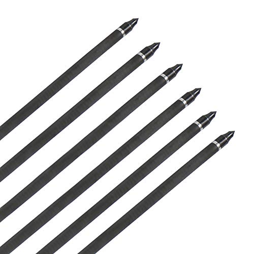 I-Sport 12 Pack 32 Inch Carbon Shaft Arrows 350 Spine Plastics Fletching Screw-In Arrow Tips Carbon Arrows, Purple #TOP5