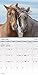 2024 Horses Mini Wall Calendar
