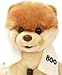 Gund Boo The World's Cutest Dog With Swim Trunks & Towel 9
