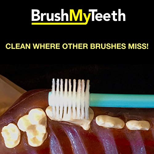 Brush My Teeth Medium Dog Toothbrush with Round Brush Head, Multi-color - Image 4