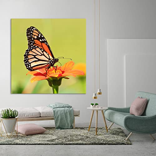 Tableau canvas animaux DCA005-1 phosphorescent 80x80 cm - 3
