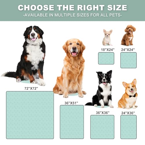 Image of Washable Pee Pads for Dogs 2 Pack, Reusable Waterproof Leak-Proof Puppy Training Pads, Super Absorbent Non-Slip Dog Whelping Pads for Crate, Playpen, Bed & Floor (36 inchx36 inch Green)
