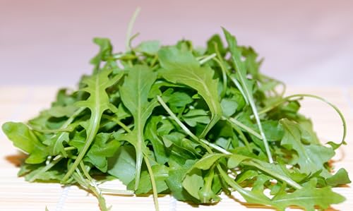 Rucola (Rucola coltivata) Samen. Salatrauke, Senfraute (1000 Samen = 2,0g)