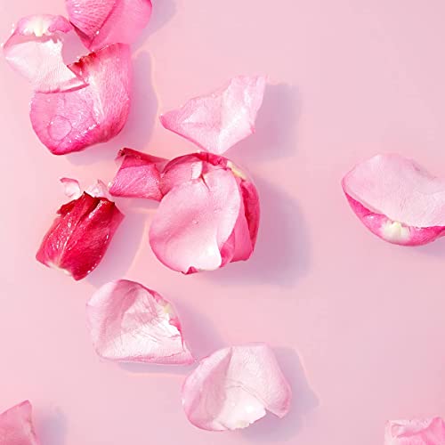 NIVEA Rosenwasser Gesichtswasser (200 ml), erfrischendes Gesichtswasser mit Rosenwasser natürlichen Ursprungs, klärende Gesichtspflege für jeden Hauttyp