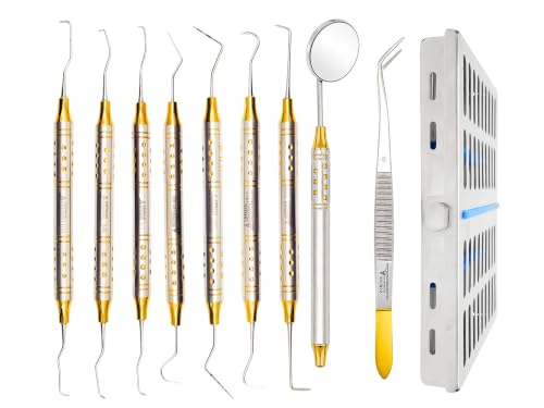 ARTMAN INSTRUMENTS Dental Hygienist Tool Kit (10 PCs) – Includes Mirror, Probe, Tweezer, Scalers, Pocket Probe, Curettes – Prophylaxis Teeth Cleaning Set, Autoclavable, with Sterilization Cassette