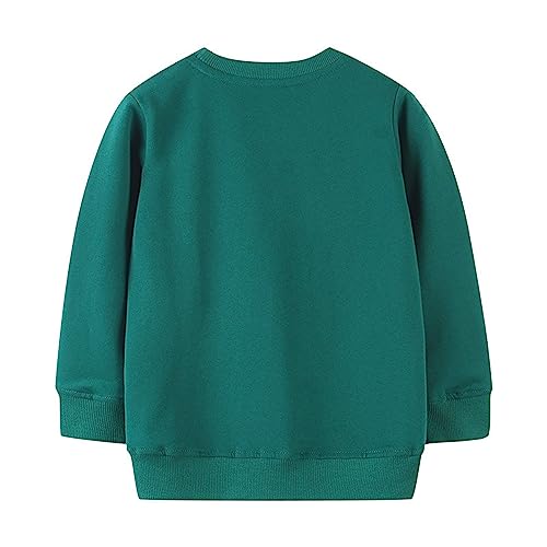 Toddler Boys Autumn 2023 New Dinosaur Print Pullover Round Neck Long Sleeve Sweatshirt School Daily Wear 4t3