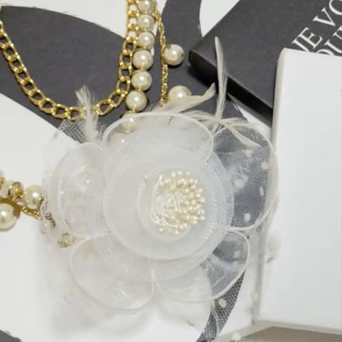 RT[W Ǝ w  wbhhX wANbv zCg