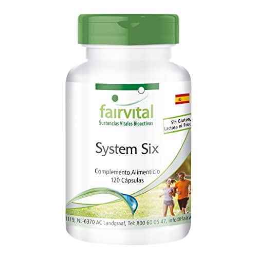 Fairvital | System Six - Garcinia Cambogia + Cromo + L-Carnitina + Vitaminas y minerales - VEGANO - 120 Cápsulas - Calidad Alemana