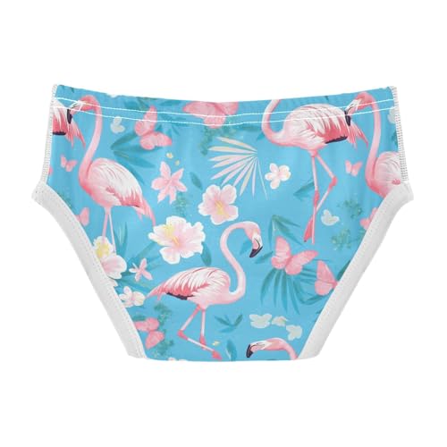Wusikd Pink Flamingos Boys' Underwear Cotton Butterflies Flowers Boys Briefs Soft Toddler Underwear 2T2