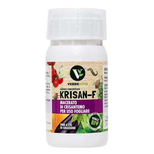 VERDE VIVO Macerado de crisantemo para Uso foliar - 150 ml. Krisan-F Insecticida para Plantas con piretro Natural Concentrado. Piretro insecticida eficaz contra pulgones, Mosquitos y Otros parásitos