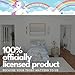 Franco Collectibles My Little Pony Classic Retro Unicorn Rainbow Bedding 5 Piece Super Soft Comforter and Sheet Set with Sham, Twin, (100% Official Licensed Product)