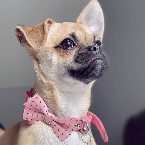 Dorui Dog Bow Tie / 50 Pcs Adjustable Elastic Rubber Band Double Layer Bow Ties For Small Medium Large Dogs & Big Cats Pet Collar Charms Accessories Bowties For Birthday Wedding Parties(50 Pcs) #TOP3