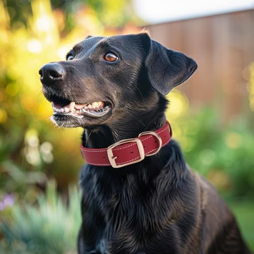 Robustes Hundehalsband aus Echtem Leder –vVerstellbares Design,Weich und Strapazierfähig mit Metallschnalle und D-Ring für Kleine, Mittlere und Große Rassen (Rot, L)