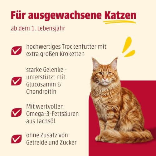 animonda Carny Katzen Trockenfutter Large Breed Huhn + Lachs (1 x 1,75kg)