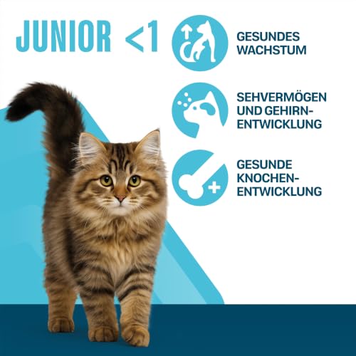 PERFECT FIT Junior