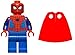 LEGO Superheroes: Spider-Man Minifigure with Web and Printed Arms