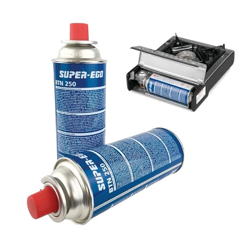 VALDI LED | Pack De 2 Cartuchos De Gas Para Hornillo Camping Gas Portátil, Quemadores, Sopletes Y Estufas | Ideal Para Cocina Camping Y Actividades Al Aire Libre | 250g