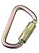 3M DBI-SALA Saflok Self-LockingSelf-Closing Carabiner With 1116