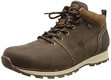 Rieker Herren Bequemschuhe F5730, Männer Schnürhalbschuhe,lose Einlage,wasserdicht,riekerTEX,Komfortschuhe,Halbschuhe,Man,braun (25),42 EU / 8 UK