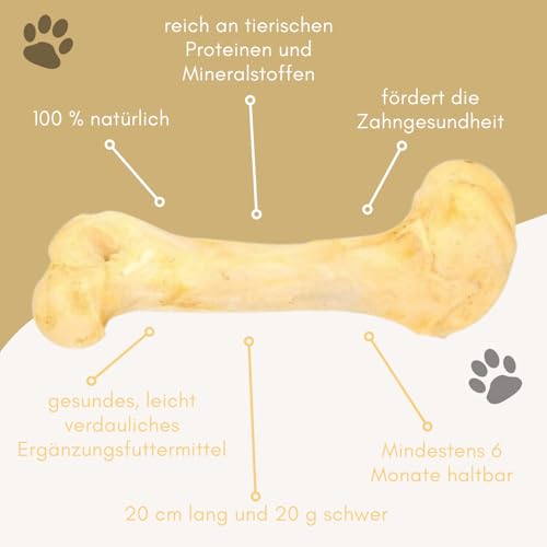PAKO Natürlicher Kausnack für Hunde | Weiße Schweineknochen | 100% Natur | Aromatischer & Proteinreicher Knabberknochen | 1 Stück