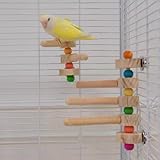 Convient pour les calopsittes, inséparables, conures, perruches, et autres oiseaux de petite et moyenne taille.