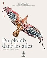 Du plomb dans les ailes 2897911468 Book Cover