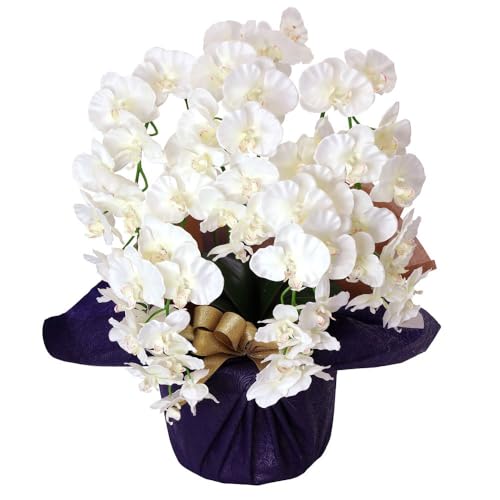造花 5本立ち 胡蝶蘭」の人気商品一覧・価格比較 - 価格.com