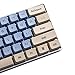 immagine 3Nuovo Arrial XDA 61 ANSI Dye Sub Lotus Gray Keycaps per Gh60 60% Poker RK (solo Keycap) Kit 3